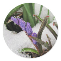 Snowed in Flowers ~ sticker