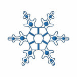 Snowflake 3 embroidered jacket