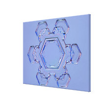 Snowflake 6 stretched canvas print