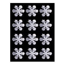 Snowflake Crystal Photos Post Cards