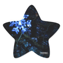 snowflake in blue, star sticker