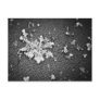 Snowflake Post Card