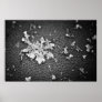 Snowflake Posters