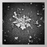 Snowflake Poster