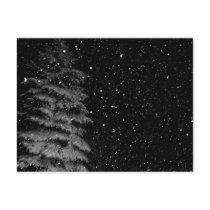 snowflakes at night  unique photograph postcards