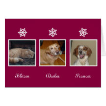 Snowflakes Christmas holiday story custom photo Greeting Cards