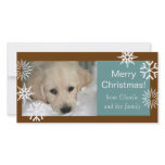 Snowflakes Dog Christmas Photo Cards Brown Blue photo cards