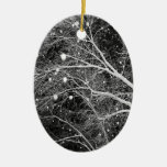 Snowflakes Photo Xmas Tree Keepsake Decorations Christmas Ornaments
