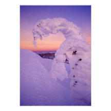 Snowghost in the Whitefish Range at Twilight Photo Print