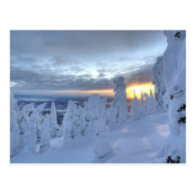 Snowghosts au coucher du soleil à la montagne de p cartes postales
