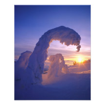 Snowghosts in the Whitefish Range of Montana Art Photo