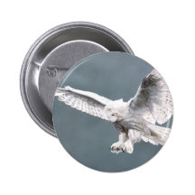 Snowings Pins