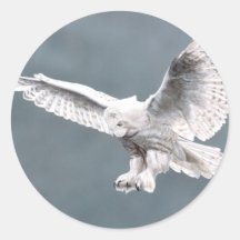 Snowings Round Sticker