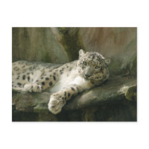 SnowLeopardBCR004