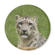SnowLeopardBCR009 Refrigerator Magnet