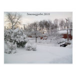 Snowmaggedon 2010 postcards