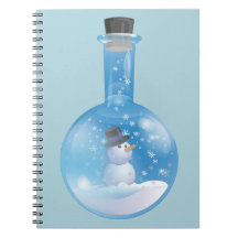 Snowman snowglobe flask note book
