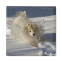 SnowPlow Refrigerator Magnet