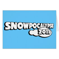 snowpocalypse 2011
