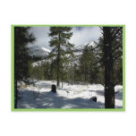 Snows In Flagstaff At Arizona And On Mt. Elden postcards