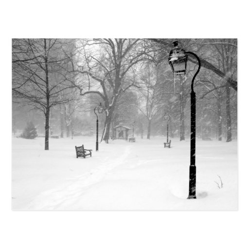 Snowscape II, Philadelphia Post Card
