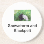 Snowstorm and Blackpelt Beverage Coasters