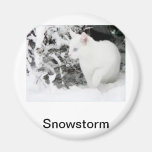 Snowstorm Refrigerator Magnets