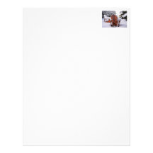Snowy Adirondack Chairs in Winter Photo Custom Letterhead
