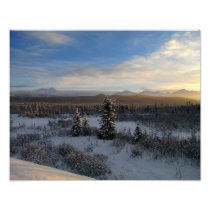 Snowy Afternoon Photograph