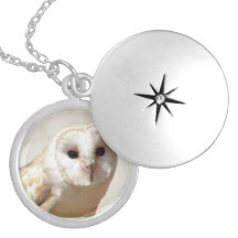 Snowy Barn Owl Locket  