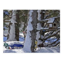 Snowy Birdhouse Postcard