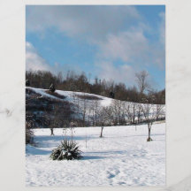 Snowy Blanket Full Color Flyer