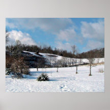 Snowy Blanket Poster