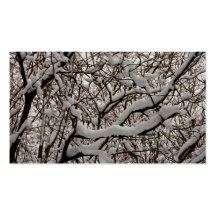 Snowy branches 2013 pocket calendar business card templates