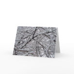 Snowy Branches cards