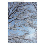 snowy branches cards