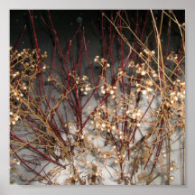 Snowy Bush Poster