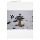 snowy day birdbath greeting card
