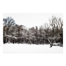 Snowy Dreams Photo