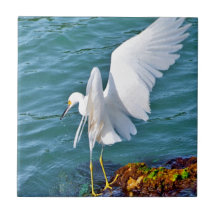 Snowy Egret Fishing Tile