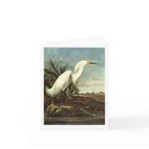 Snowy Egret, John James Audubon Greeting Cards