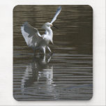 Snowy Egret Mousepad