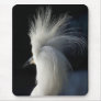 Snowy Egret Mousepad