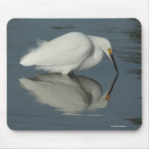 Snowy Egret Mousepad