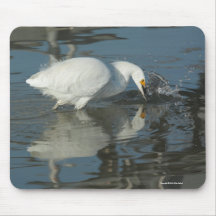 Snowy Egret Mousepad