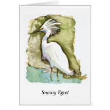 Snowy Egret note card