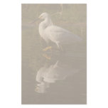 Snowy Egret Photography Stationery