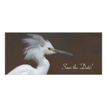 Snowy Egret Save the Date! Custom Announcements