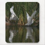 Snowy Egrets Mousepad