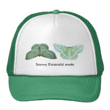 Snowy Emerald ~ hat
